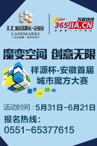 馬鋼股份收購法國公司 境外收購成皖企重要投資方式，引領計算機軟硬件開發新篇章